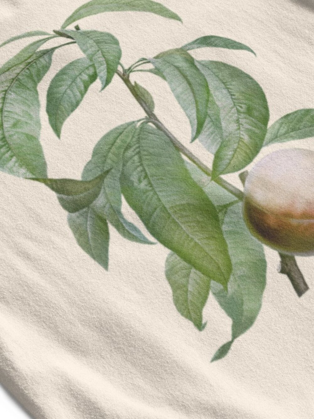 Peach Vintage Botanical Print Long Sleeve Graphic Tee T-shirt S-XXL - Picture 5 of 6